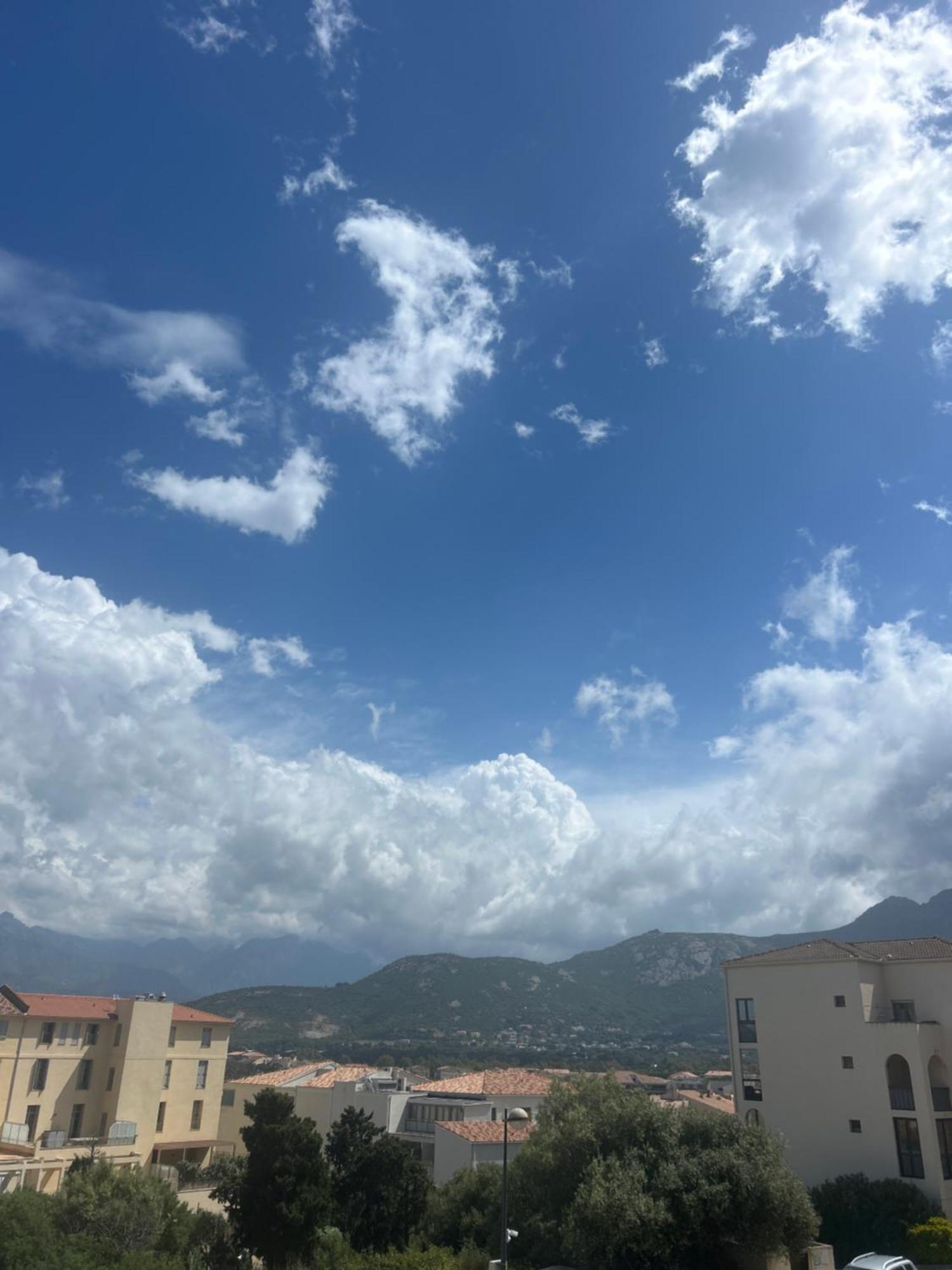 Casa Olmia Résidence Calvi  Esterno foto